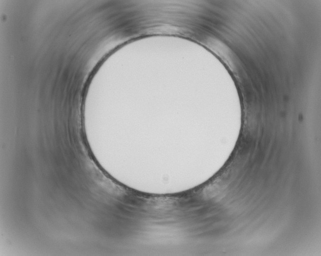 X0000088751000200706141723