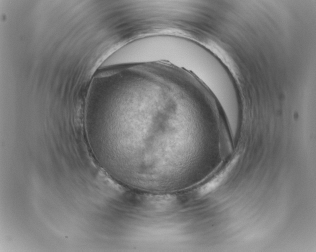 X0000088751001200706141723