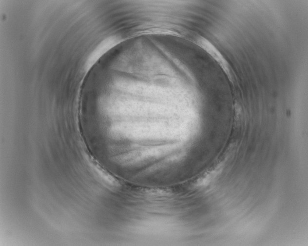 X0000088751002200706141723