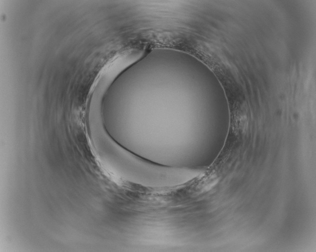 X0000088751010200706141722