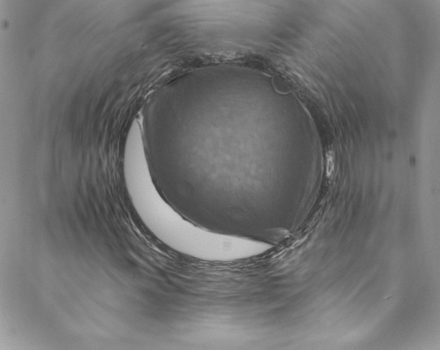X0000088751011200706141723