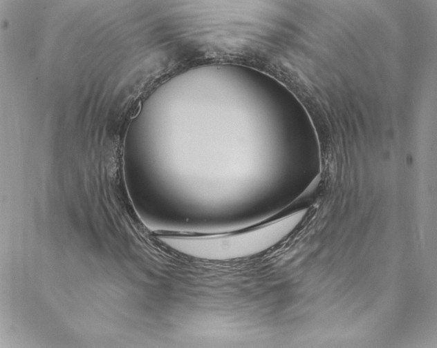 X0000088751012200706141723