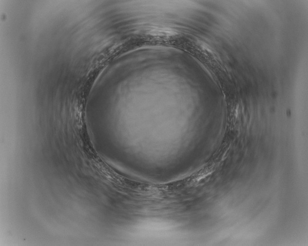 X0000088751013200706141723