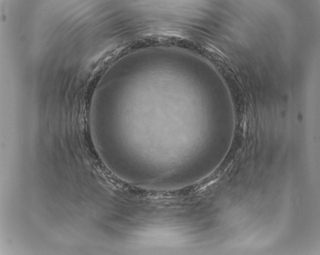 X0000088751014200706141723