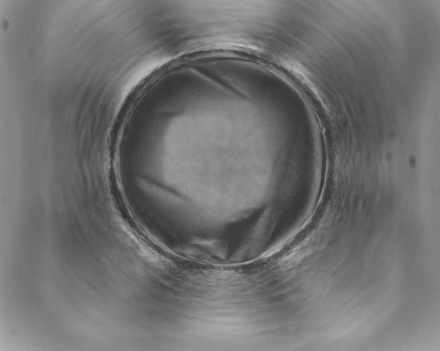 X0000088751024200706141723
