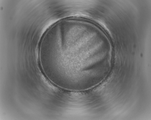 X0000088751032200706141723