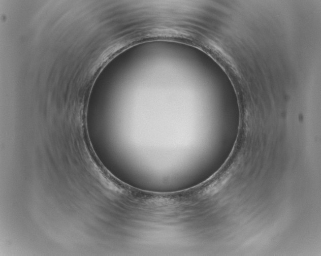 X0000088751033200706141723