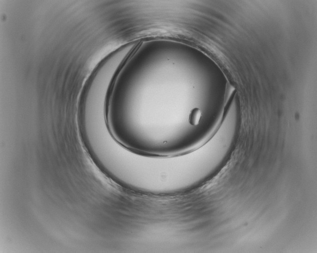 X0000088751034200706141723