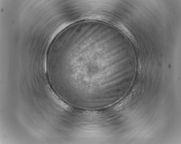 X0000088751036200706141723