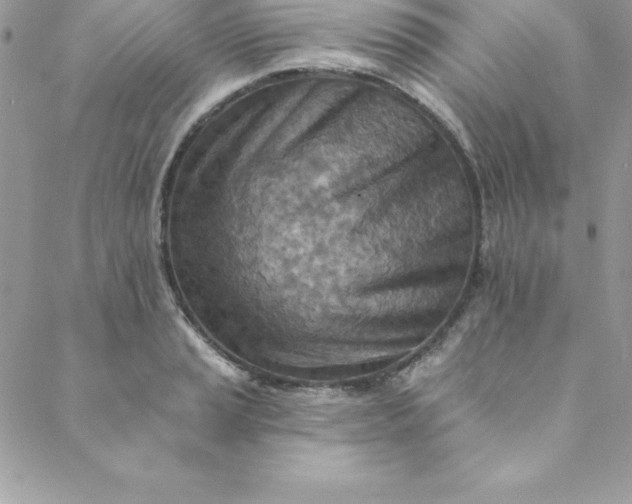 X0000088751037200706141723