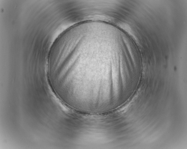 X0000088751040200706141723