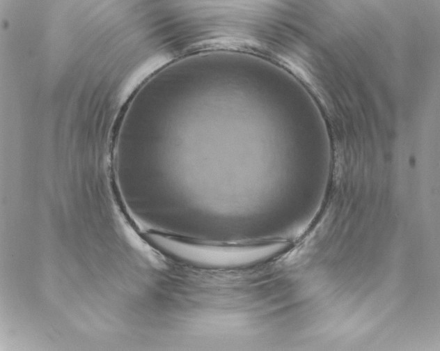 X0000088751042200706141723