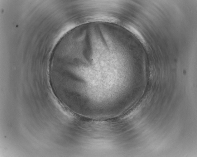 X0000088751043200706141723