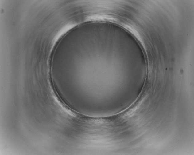 X0000088751045200706141723