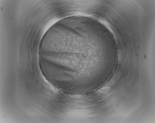 X0000088751048200706141723
