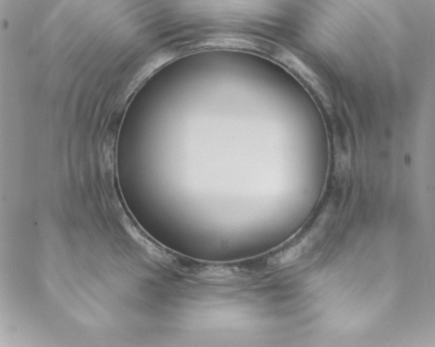X0000088751049200706141723