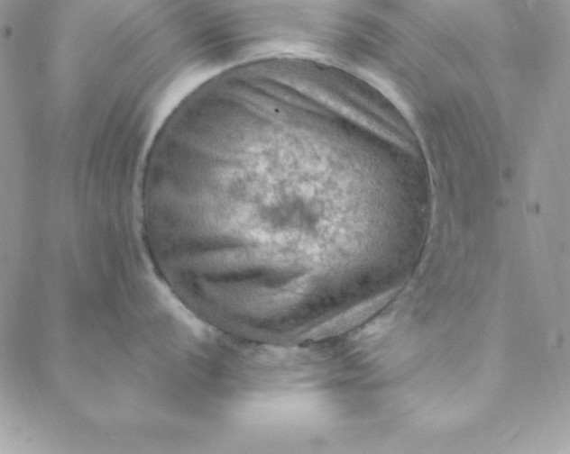 X0000088751056200706141723