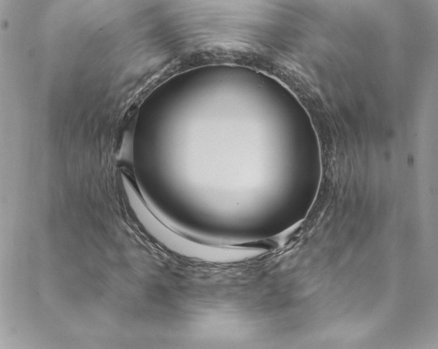 X0000088751061200706141722