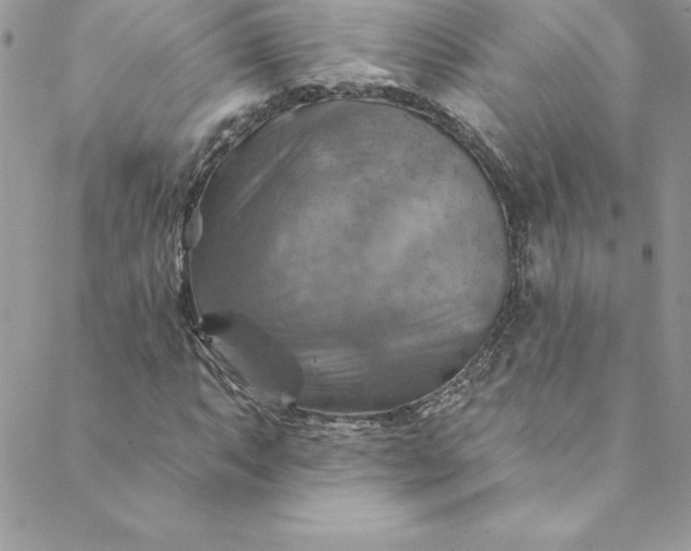 X0000088751063200706141722