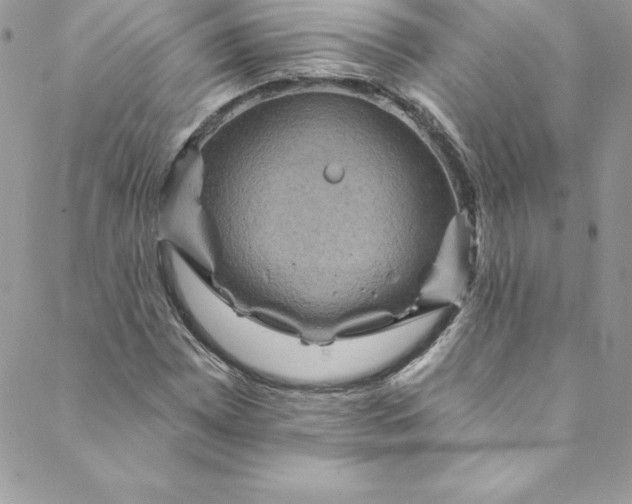 X0000088751065200706141722