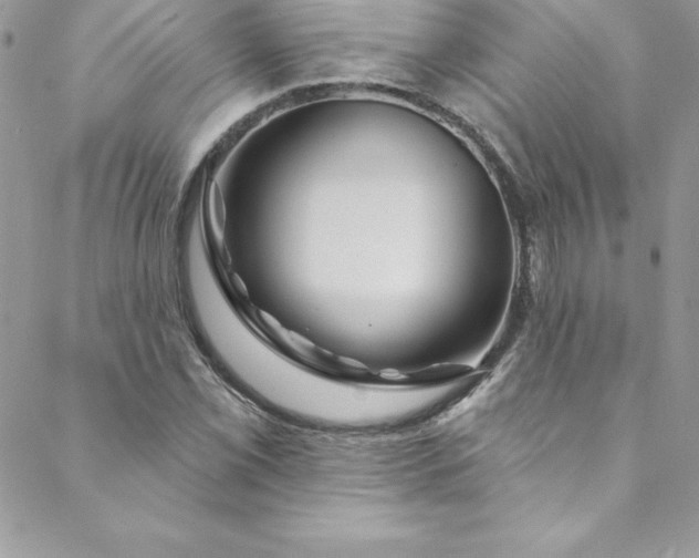 X0000088751069200706141722