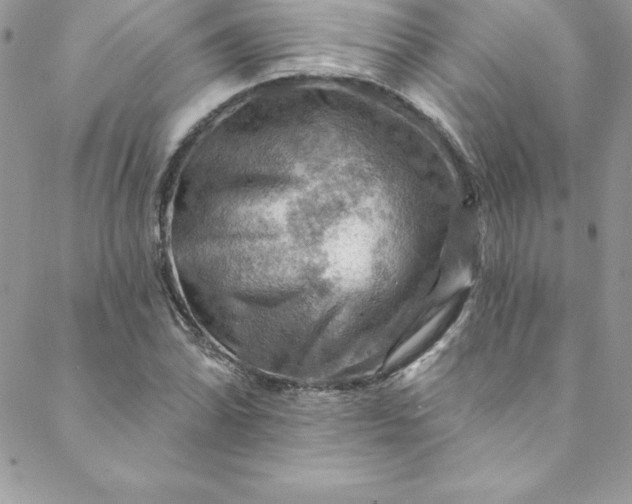 X0000088751070200706141722