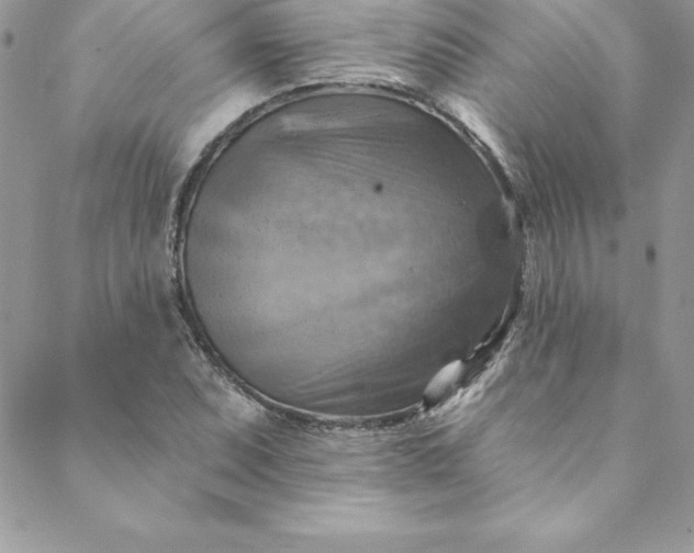 X0000088751071200706141722