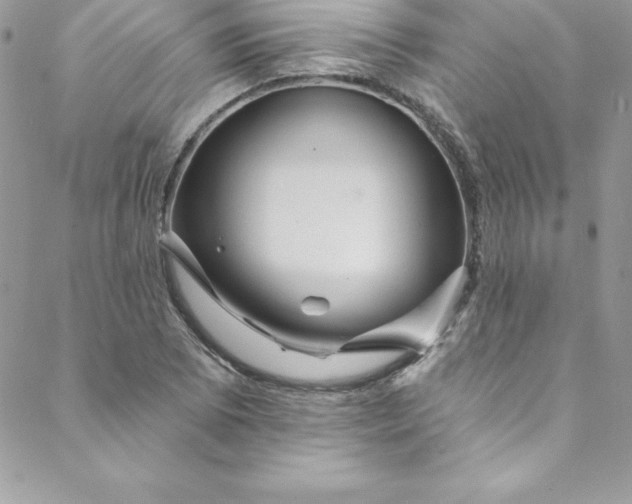 X0000088751073200706141722