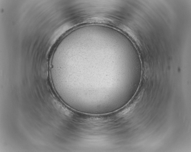 X0000088751075200706141722
