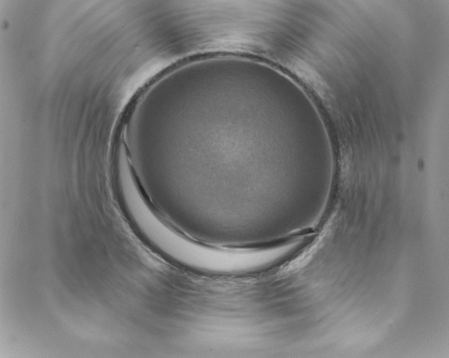 X0000088751077200706141722