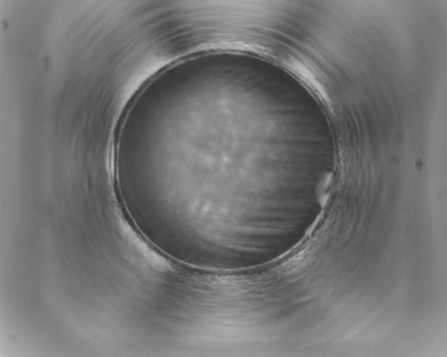 X0000088751084200706141722