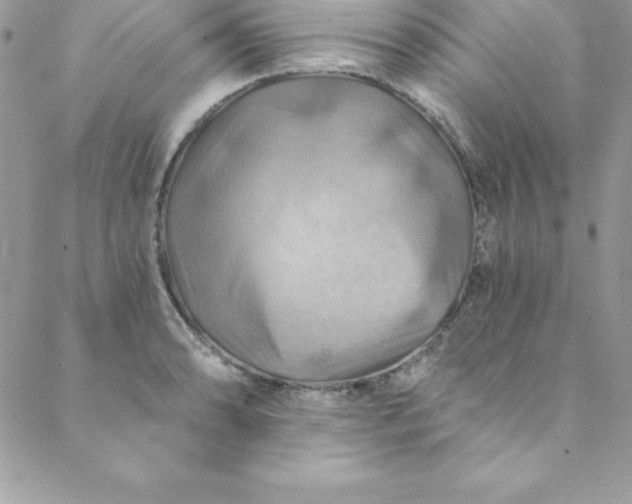 X0000088751086200706141722
