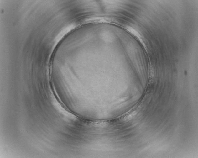 X0000088751090200706141722