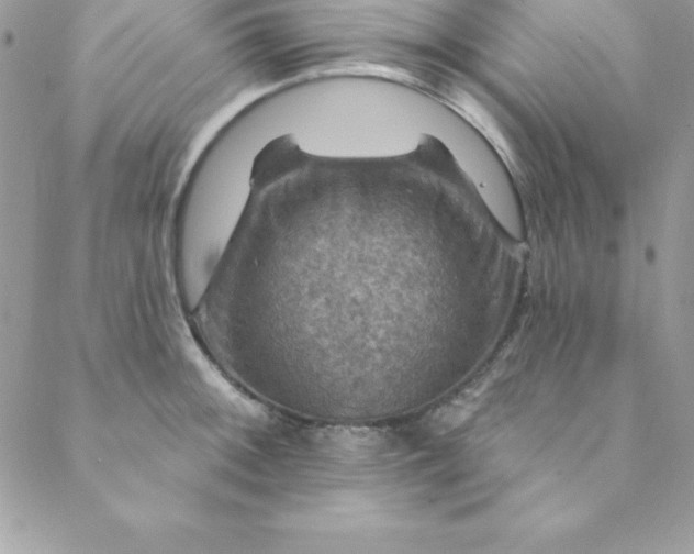 X0000088751092200706141722