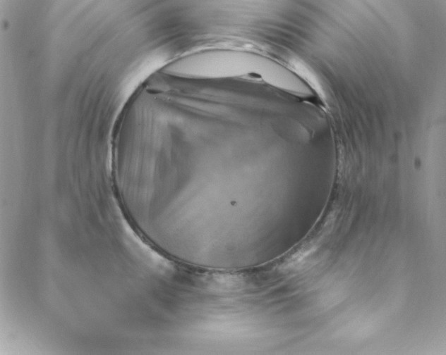 X0000088751095200706141722