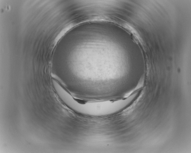 X0000088751097200706141722