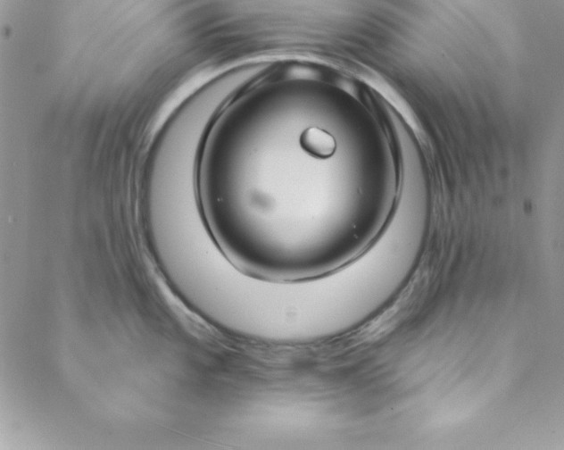 X0000088751101200706141722