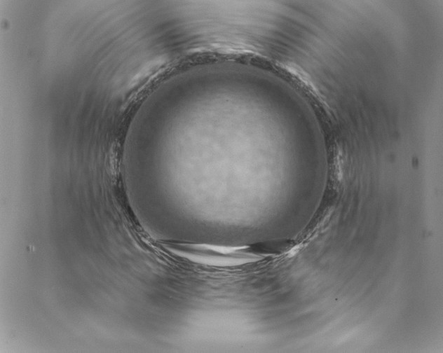 X0000088751110200706141721