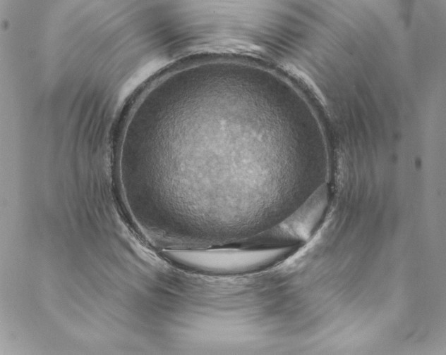 X0000088751114200706141721