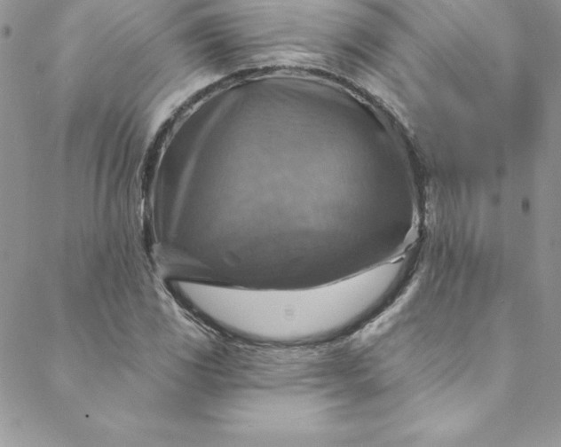 X0000088751117200706141721