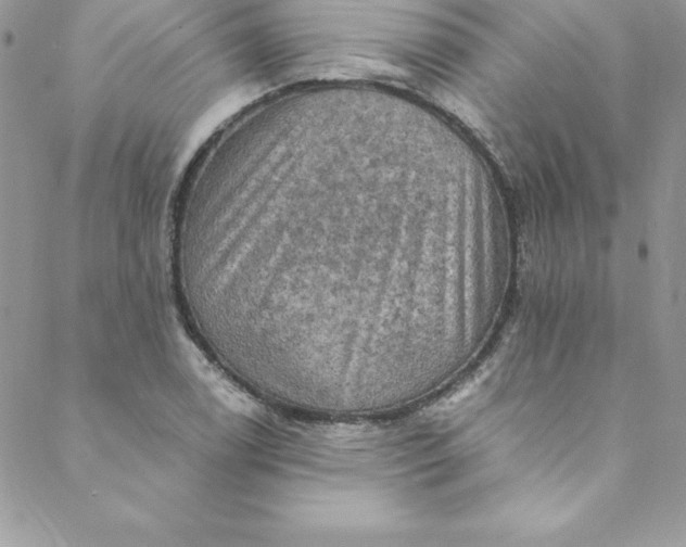 X0000088751122200706141721