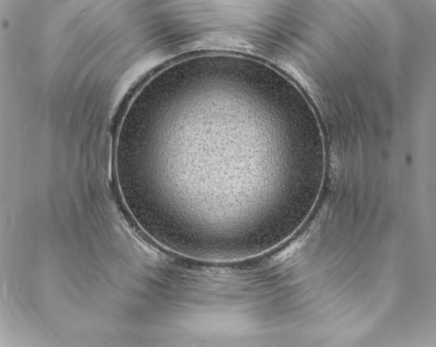 X0000088751123200706141721