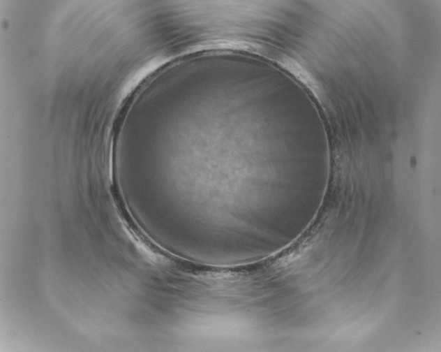 X0000088751127200706141721