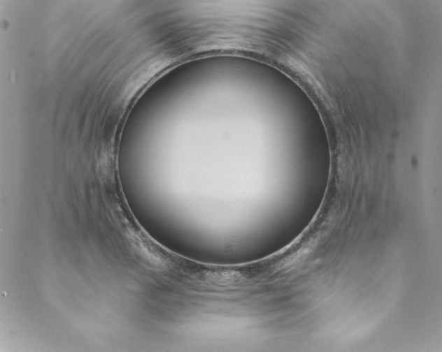 X0000088751129200706141721
