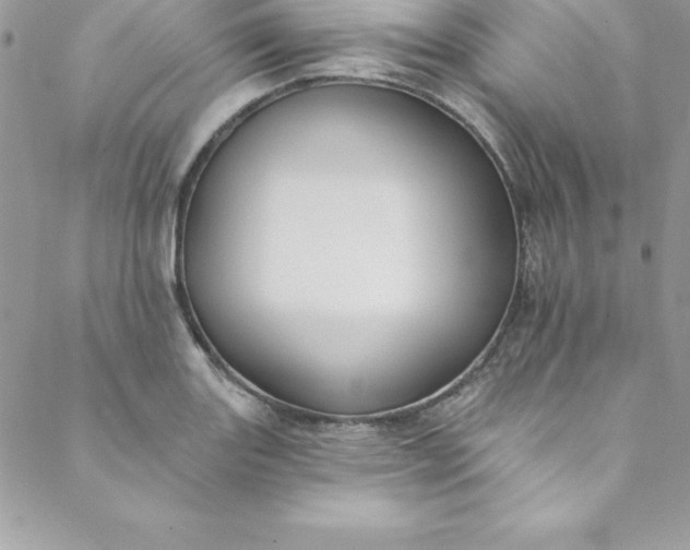 X0000088751131200706141721