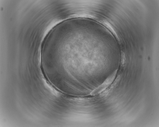 X0000088751132200706141721