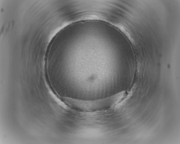 X0000088751134200706141721