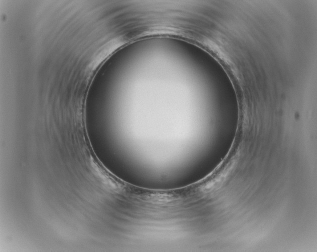 X0000088751137200706141721