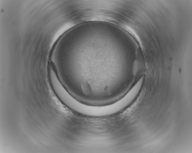 X0000088751138200706141721