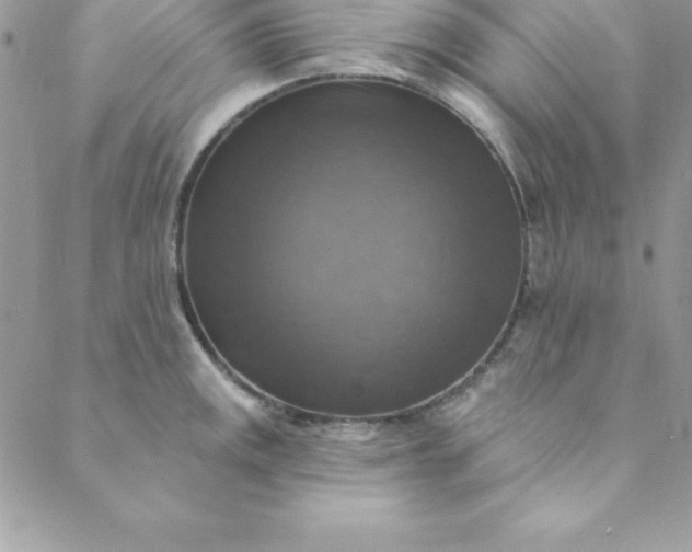 X0000088751141200706141722